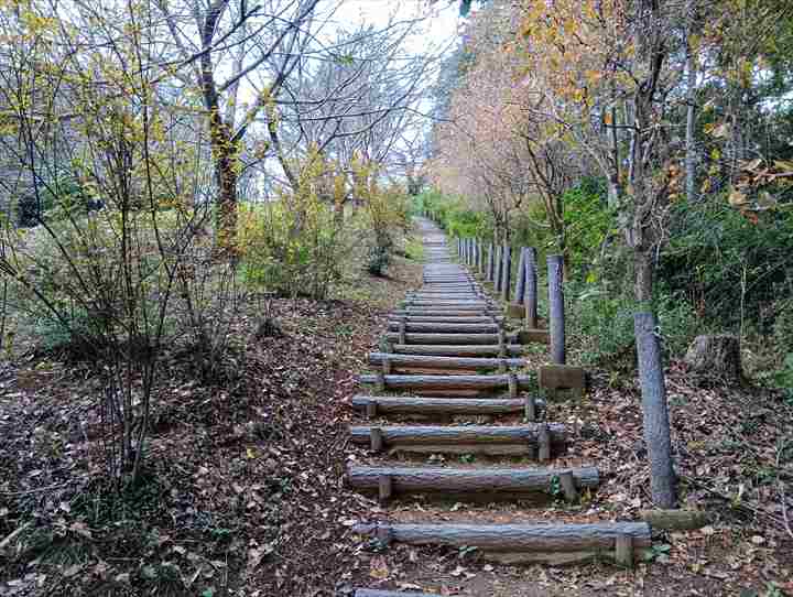 大高取山(P~西山高取)