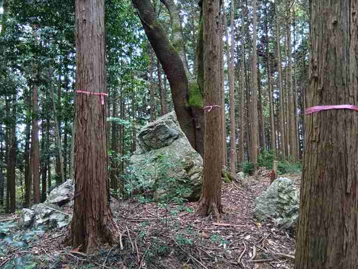 大高取山(大高取山~幕岩展望台)