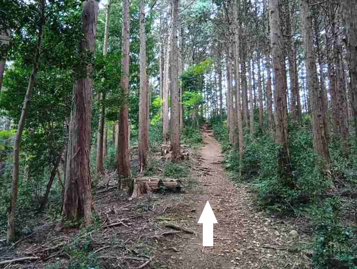 大高取山(大高取山~幕岩展望台)