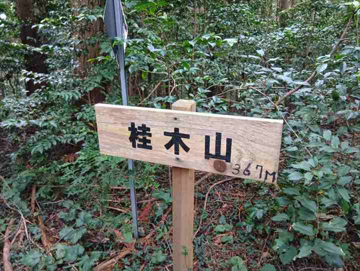 大高取山(大高取山~幕岩展望台)