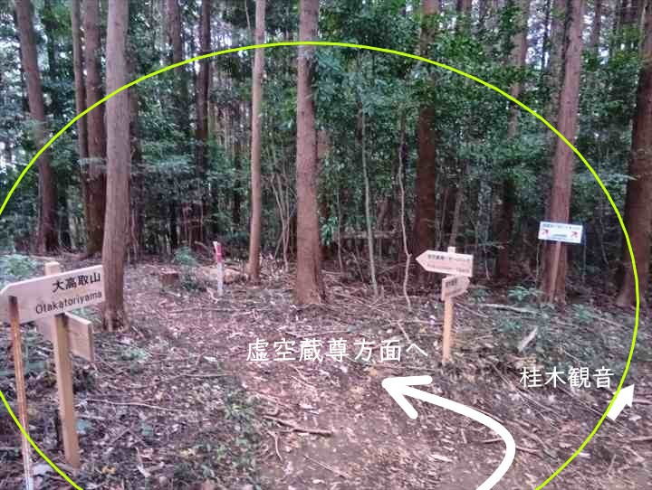 大高取山(大高取山~幕岩展望台)