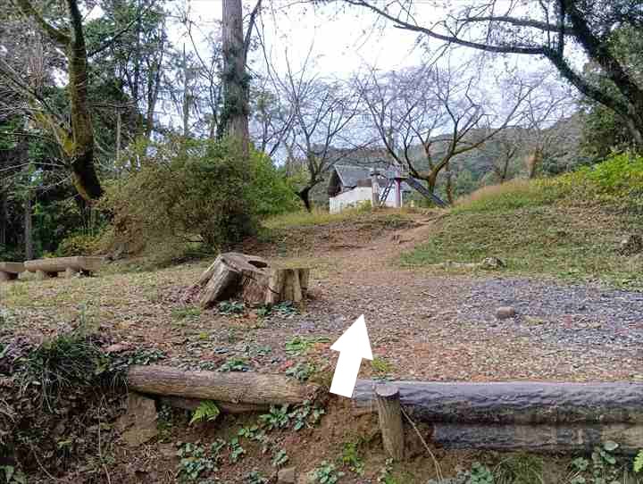 大高取山(P~西山高取)