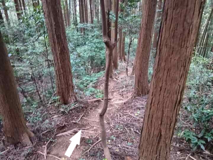 大高取山(大高取山~幕岩展望台)