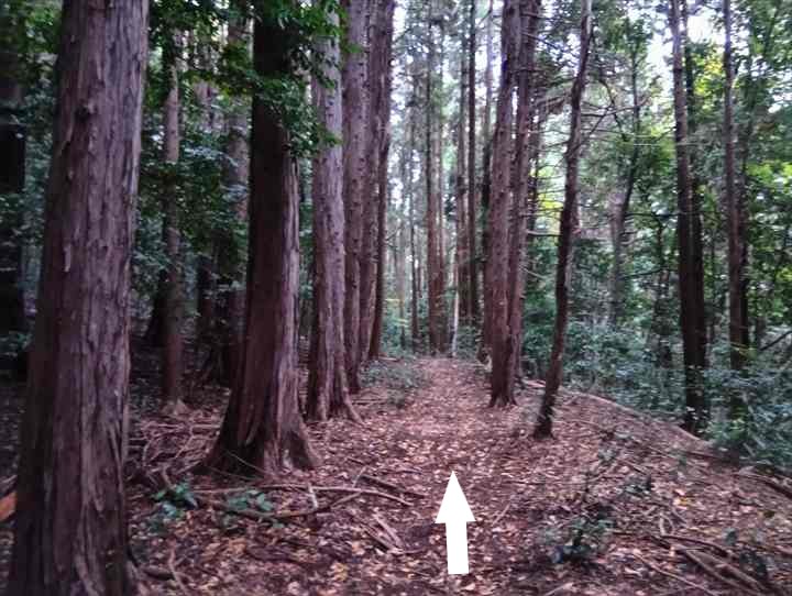 大高取山(大高取山~幕岩展望台)