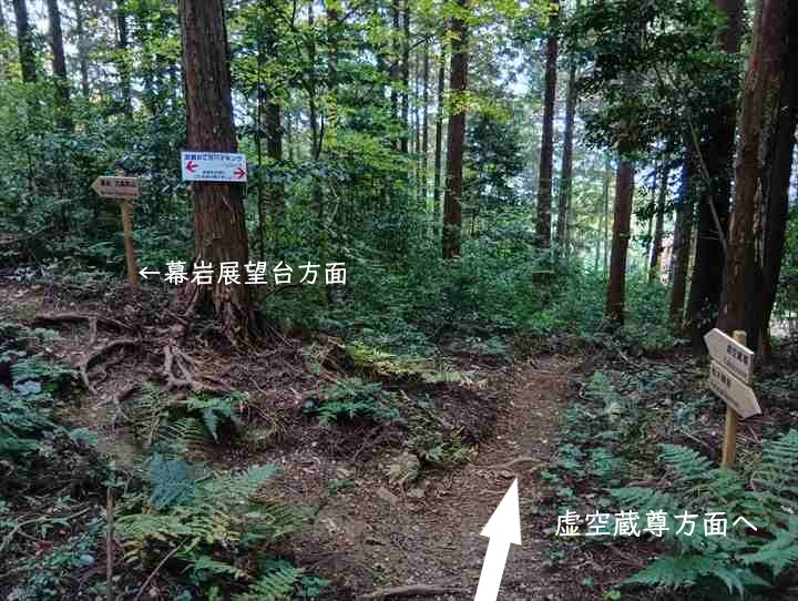 大高取山(大高取山~幕岩展望台)