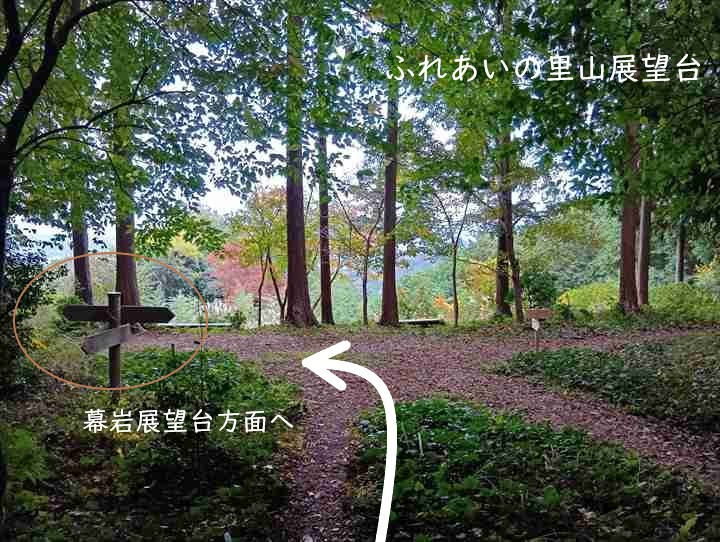 大高取山(大高取山~幕岩展望台)