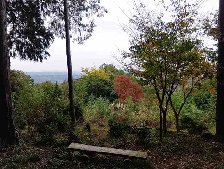 大高取山(大高取山~幕岩展望台)