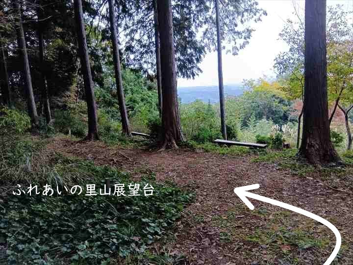 大高取山(大高取山~幕岩展望台)