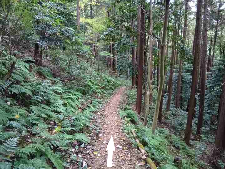 大高取山(大高取山~幕岩展望台)
