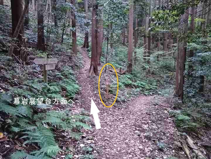 大高取山(大高取山~幕岩展望台)