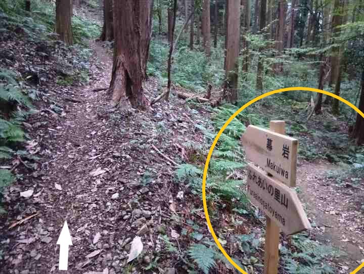 大高取山(大高取山~幕岩展望台)
