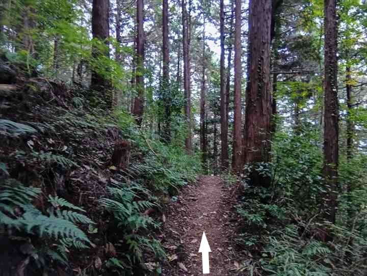 大高取山(大高取山~幕岩展望台)