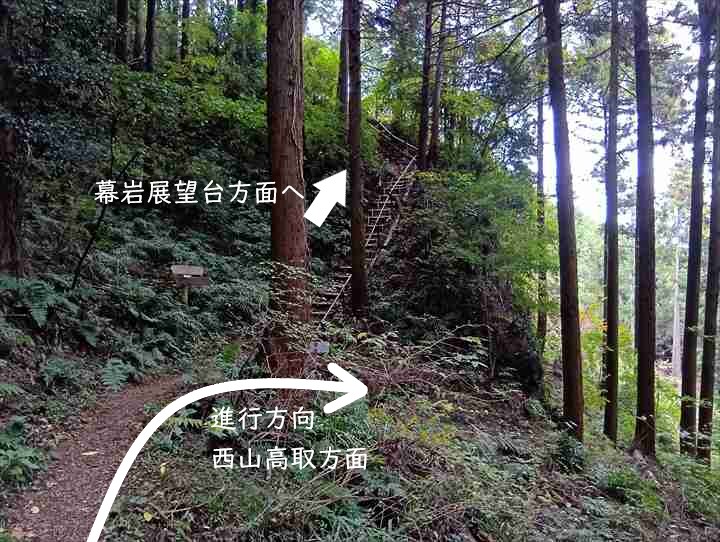 大高取山(大高取山~幕岩展望台)
