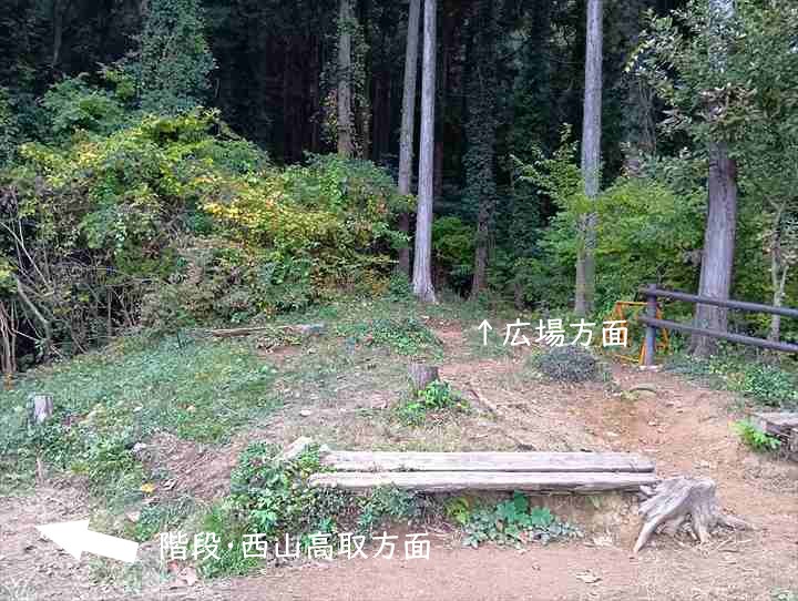 大高取山(大高取山~幕岩展望台)