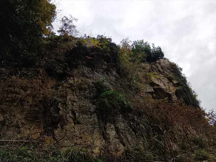 大高取山(幕岩展望台~町役場P)