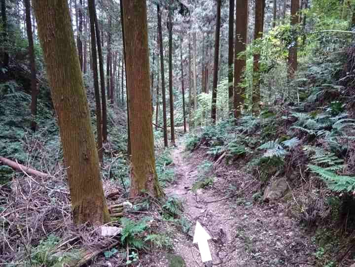 大高取山(幕岩展望台~町役場P)