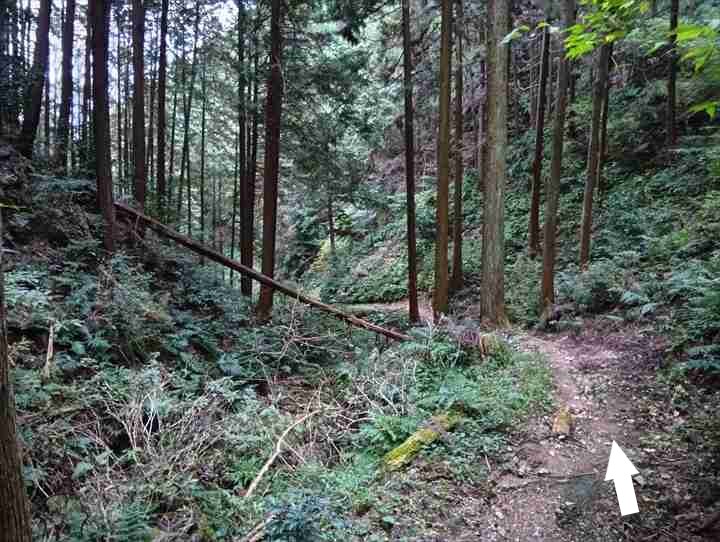 大高取山(幕岩展望台~町役場P)