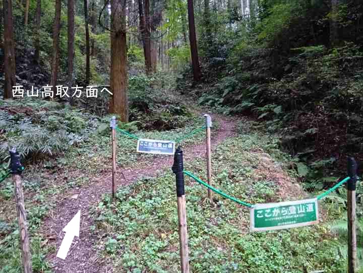 大高取山(幕岩展望台~町役場P)
