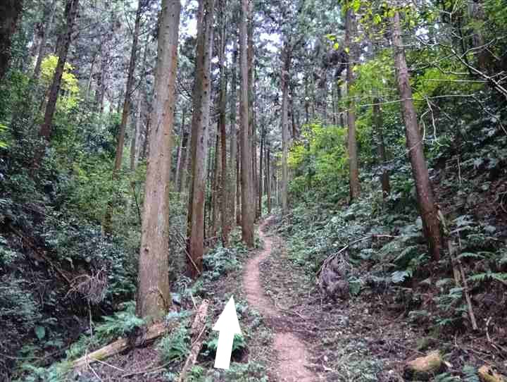 大高取山(幕岩展望台~町役場P)