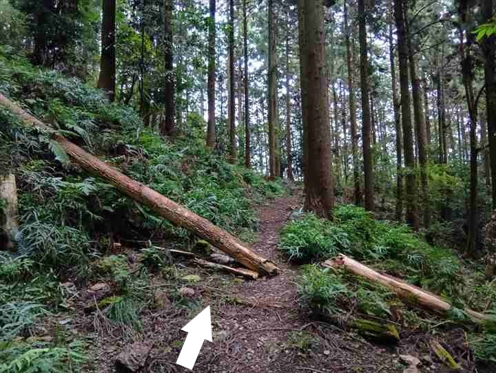 大高取山(幕岩展望台~町役場P)
