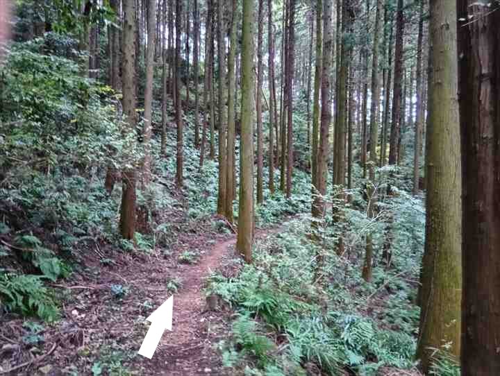 大高取山(幕岩展望台~町役場P)