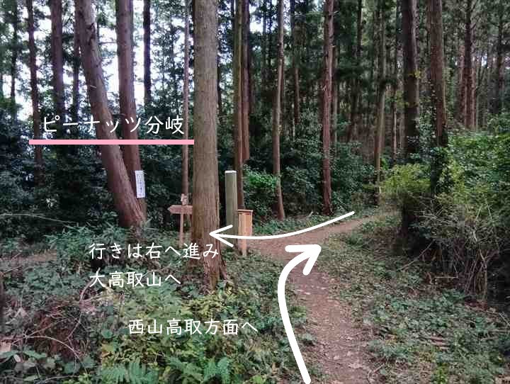 大高取山(幕岩展望台~町役場P)