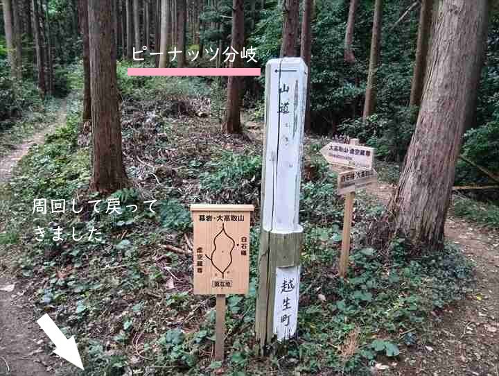 大高取山(幕岩展望台~町役場P)
