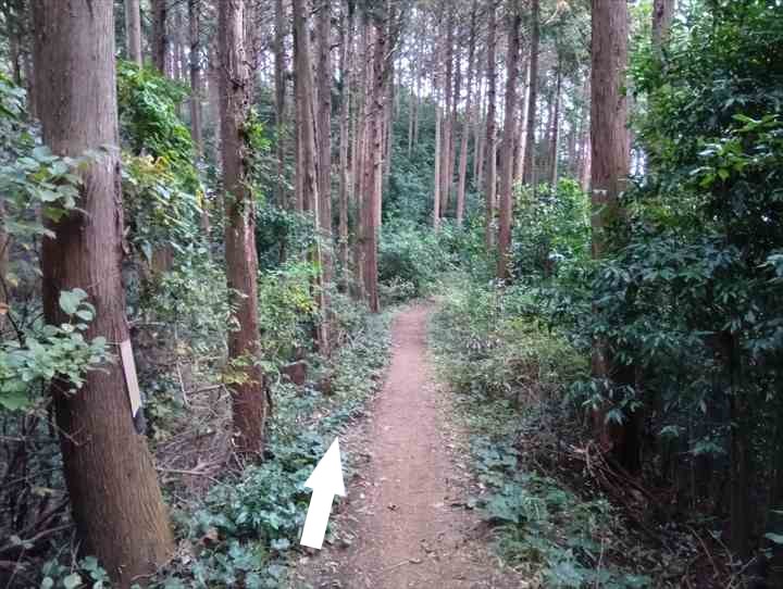 大高取山(幕岩展望台~町役場P)