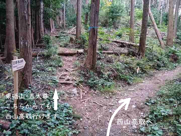 大高取山(幕岩展望台~町役場P)
