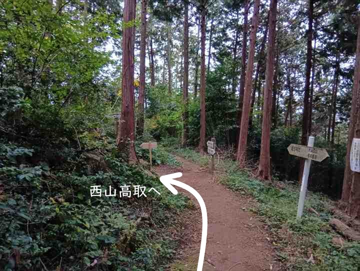 大高取山(幕岩展望台~町役場P)
