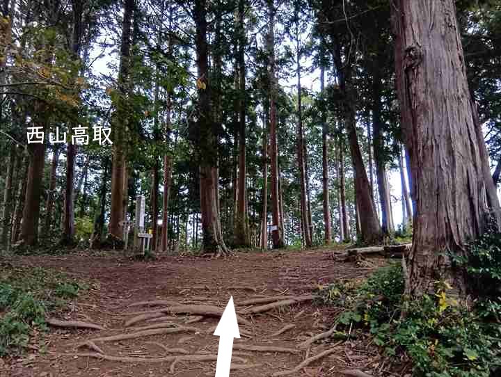 大高取山(幕岩展望台~町役場P)
