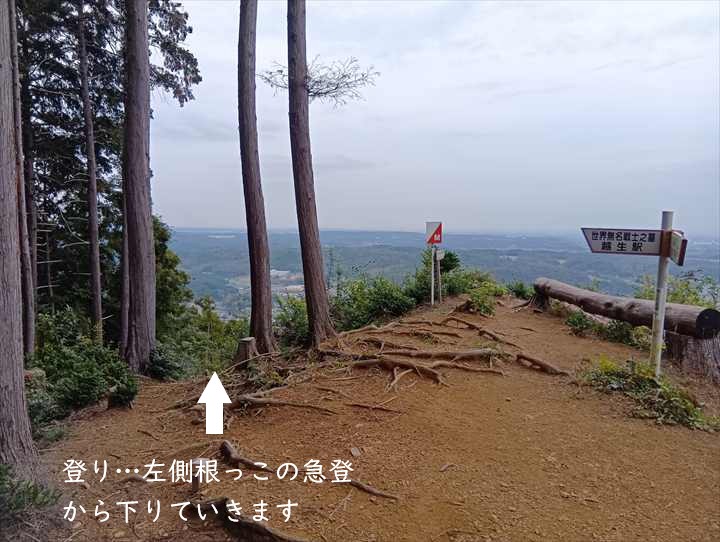 大高取山(幕岩展望台~町役場P)