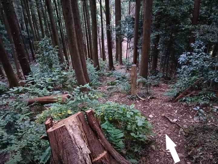 大高取山(幕岩展望台~町役場P)