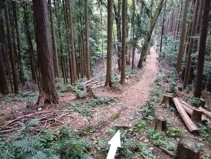 大高取山(幕岩展望台~町役場P)