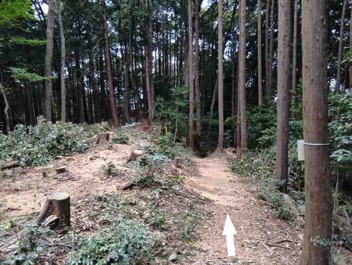 大高取山(幕岩展望台~町役場P)
