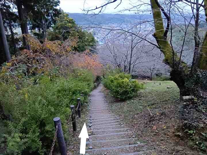 大高取山(幕岩展望台~町役場P)