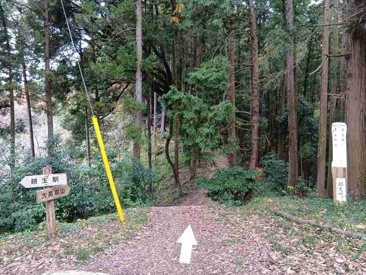 大高取山(P~西山高取)
