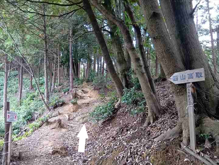 大高取山(P~西山高取)