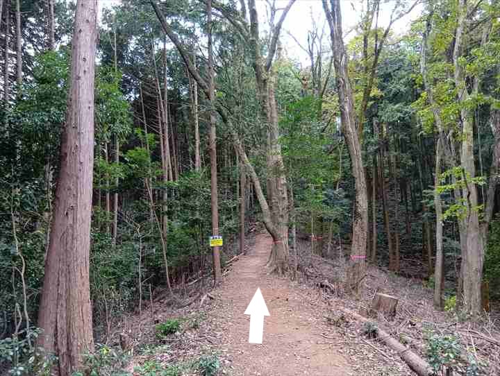 大高取山(P~西山高取)