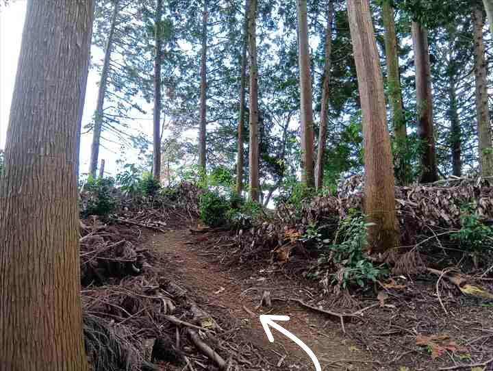 大高取山(P~西山高取)