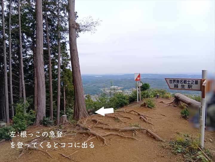 大高取山(P~西山高取)