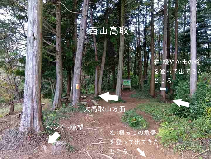 大高取山(P~西山高取)