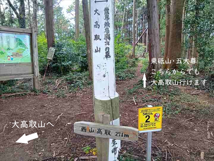 大高取山(西山高取~大高取山)