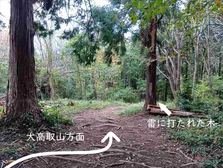 大高取山(西山高取~大高取山)