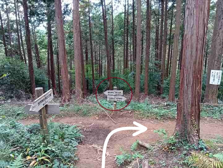 大高取山(西山高取~大高取山)