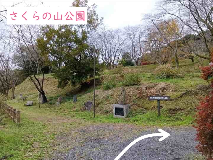 大高取山(P~西山高取)