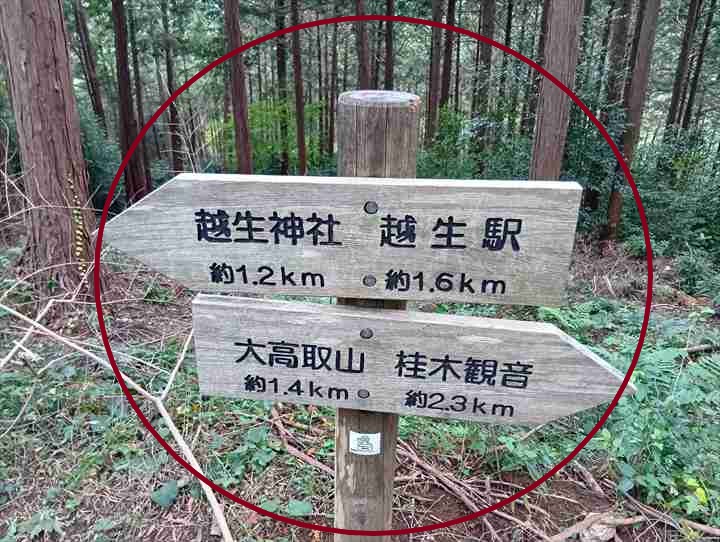 大高取山(西山高取~大高取山)