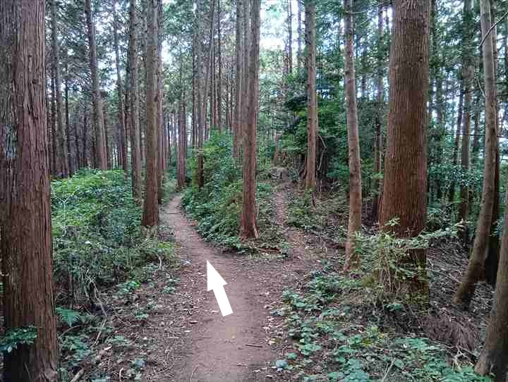 大高取山(西山高取~大高取山)