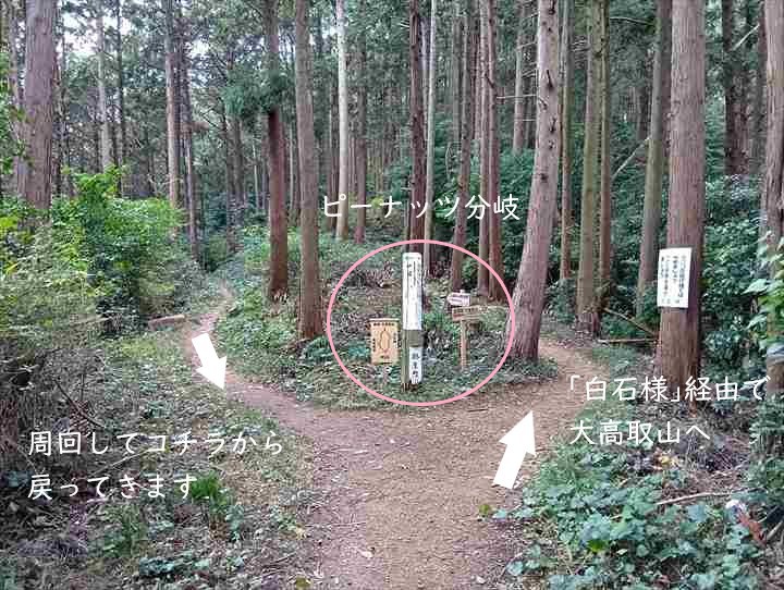 大高取山(西山高取~大高取山)