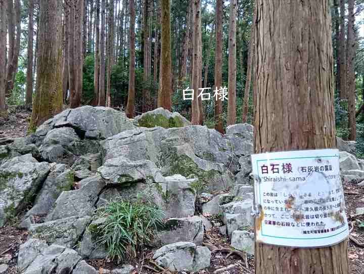 大高取山(西山高取~大高取山)